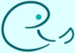 eis